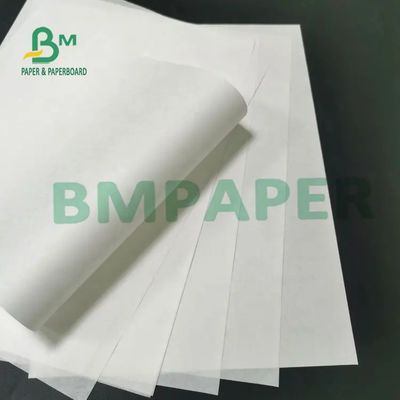 sem revestimento livre de papel térmico branco do rolo BPA de 55g 65g 70g para o registro
