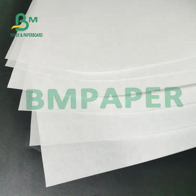 sem revestimento livre de papel térmico branco do rolo BPA de 55g 65g 70g para o registro
