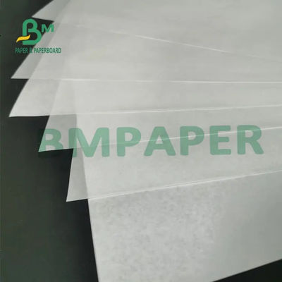 sem revestimento livre de papel térmico branco do rolo BPA de 55g 65g 70g para o registro