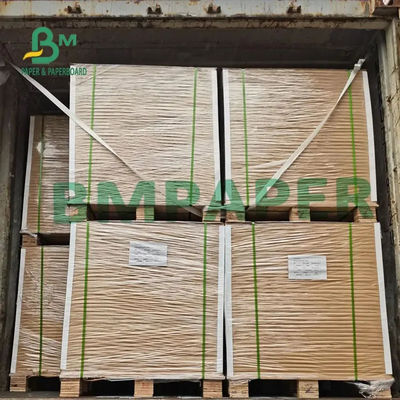 12pt C2S que imprime o molde 300g de papel do brilho de seda revestiu o revestimento lustroso para insetos