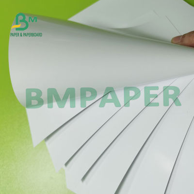 12pt C2S que imprime o molde 300g de papel do brilho de seda revestiu o revestimento lustroso para insetos