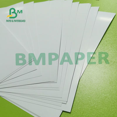 12pt C2S que imprime o molde 300g de papel do brilho de seda revestiu o revestimento lustroso para insetos