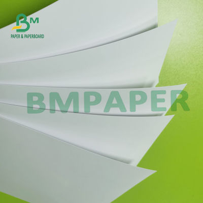 12pt C2S que imprime o molde 300g de papel do brilho de seda revestiu o revestimento lustroso para insetos