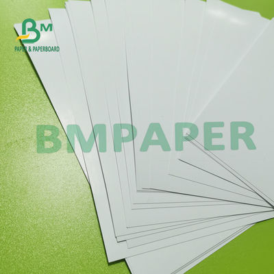 12pt C2S que imprime o molde 300g de papel do brilho de seda revestiu o revestimento lustroso para insetos