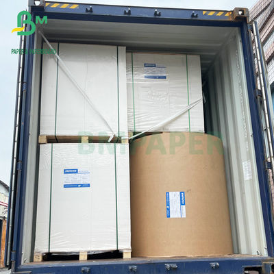 Papel forte 72x102cm da placa de marfim FBB da rigidez 300GSM 350GSM