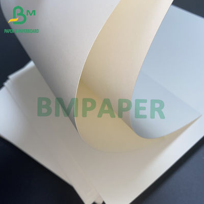 o PE 15g revestiu 1 placa de papel do estoque lateral do copo para o copo frio da bebida do copo quente da bebida