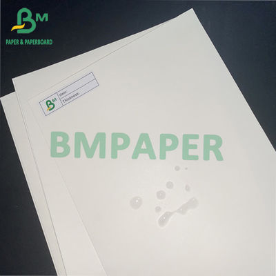 o PE 15g revestiu 1 placa de papel do estoque lateral do copo para o copo frio da bebida do copo quente da bebida