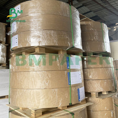 O lado maioria alto da placa de papel uma de envolvimento do alimento do produto comestível revestiu Eco 325gsm amigável
