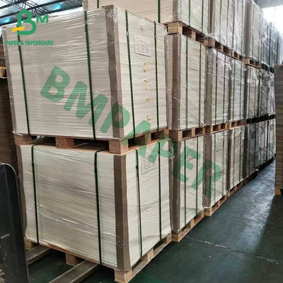 Chromo tomado partido dobro revestiu o papel lustroso 300gsm 350gsm de C2S para o compartimento
