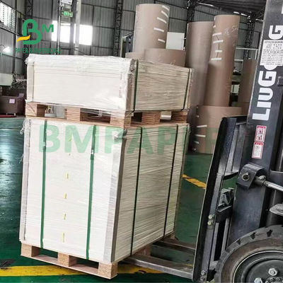 Rolo de papel do papel de jornal alto flexível da lisura para envolver vegetais