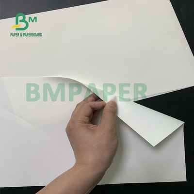 Folhas de papel sintéticas brancas lustrosas, papel da etiqueta do ANIMAL DE ESTIMAÇÃO impermeável para a impressão