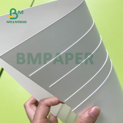 Papel sintético impermeável imprimível do solvente de Eco para o papel de cartaz