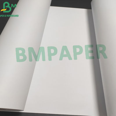 Rolo branco imprimindo gráfico do papel de plotador, projeto arquitetónico #20