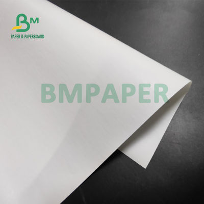 papel térmico de rolo 55gsm enorme para impressoras da posição 565mm x 6000m