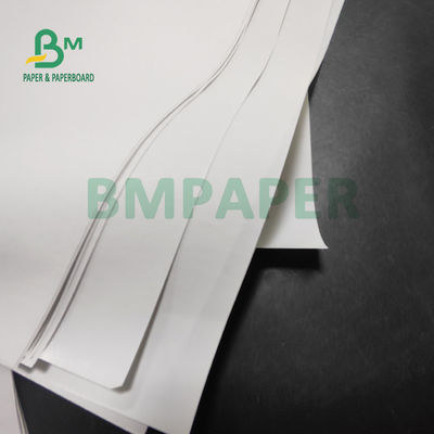papel térmico de rolo 55gsm enorme para impressoras da posição 565mm x 6000m