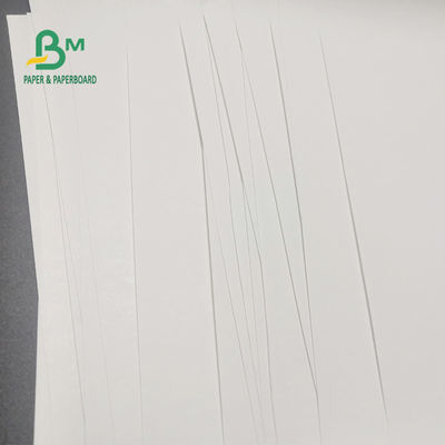 rolo de papel térmico livre de 65gsm BPA para a imagem clara 600mm x 9000m da caixa registadora