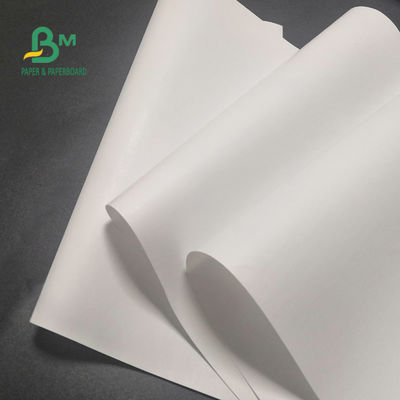 rolo de papel térmico livre de 65gsm BPA para a imagem clara 600mm x 9000m da caixa registadora