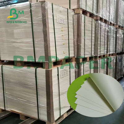 O PE lateral da placa de papel 180g conservado em estoque branco o natural do copo revestiu a superfície lisa