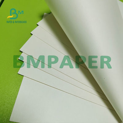 O PE lateral da placa de papel 180g conservado em estoque branco o natural do copo revestiu a superfície lisa