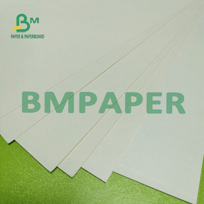 O PE lateral da placa de papel 180g conservado em estoque branco o natural do copo revestiu a superfície lisa