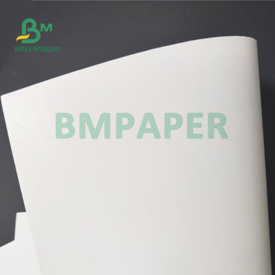 350gsm 1S revestiu o peso leve do papel de placa de FBB para a embalagem farmacêutica 37&quot; X.25”