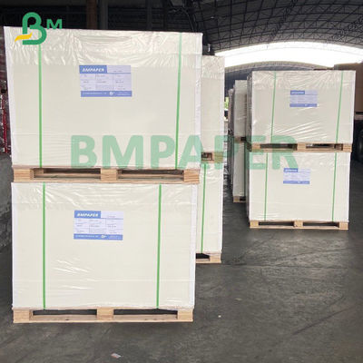 420 mícrons 250gsm rolam lado de papel do congelador o único revestido para o empacotamento de alimento