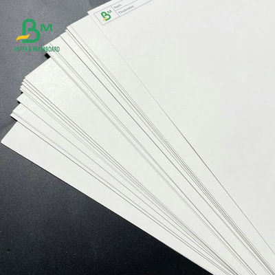 Placa de papel de 700 x de 1000mm SBS, C1s Artboard 230GSM 250GSM 300GSM 350GSM