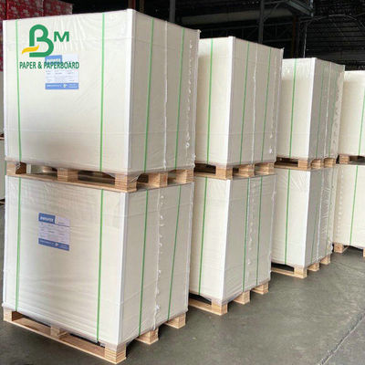 Placa de papel de 700 x de 1000mm SBS, C1s Artboard 230GSM 250GSM 300GSM 350GSM