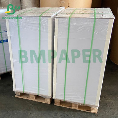 os papéis revestidos do PE 250g + 15g para copos das placas de papel rolam utensílios de mesa