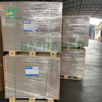 caixa 46&quot; de 300gsm 350gsm Clay Coated Paperboard For Toothpaste” rigidez X 21 alta