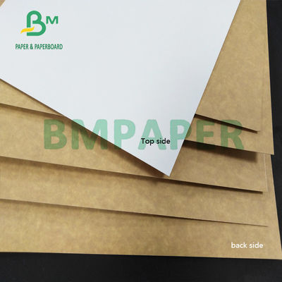 resistente de umidade de 325gsm CCK Clay Coated Kraft Back Paper para caixas da caixa de dobradura