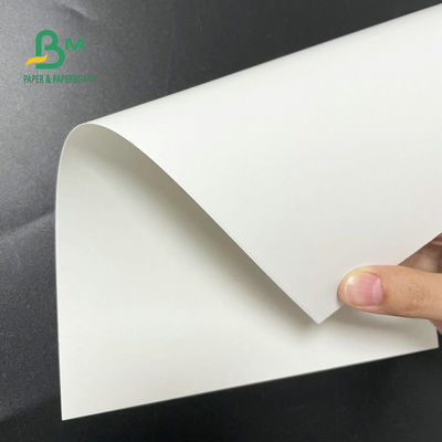 30 x 40 do congelador do papel polegadas de branco C1S Artboard do rolo 12pt 14pt 18pt para o alimento de embalagem