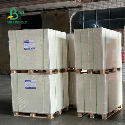 30 x 40 do congelador do papel polegadas de branco C1S Artboard do rolo 12pt 14pt 18pt para o alimento de embalagem