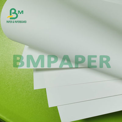 Papel de impressão inquebrável impermeável de papel sintético do Inkjet dos PP para o álbum