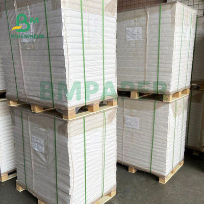 papel esparadrapo semi lustroso da etiqueta 80gsm, papel térmico autoadesivo para a etiqueta da medicina