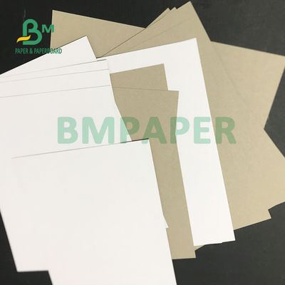 Placa de caixa reciclada Grey Back Paper da polpa C1S 230gsm 250gsm para a embalagem da medicina