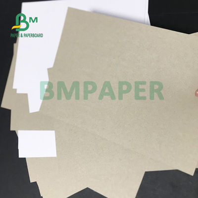 Placa de caixa reciclada Grey Back Paper da polpa C1S 230gsm 250gsm para a embalagem da medicina