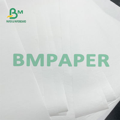 Papel livre térmico Rolls 48g da cópia traseira BPA para o bilhete pequeno