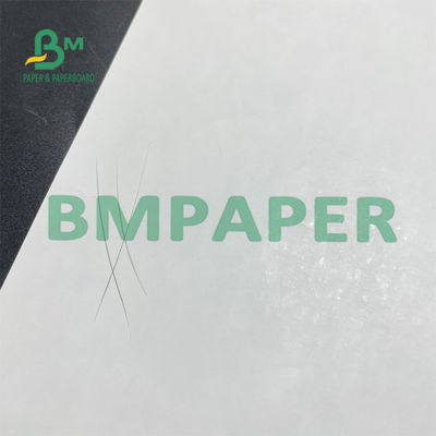 Papel livre térmico Rolls 48g da cópia traseira BPA para o bilhete pequeno