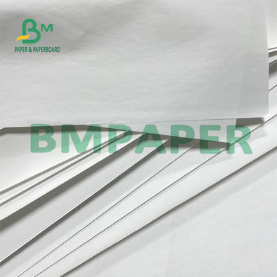 Papel livre térmico Rolls 48g da cópia traseira BPA para o bilhete pequeno