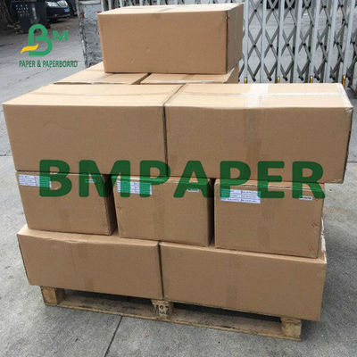 Papel livre térmico Rolls 48g da cópia traseira BPA para o bilhete pequeno