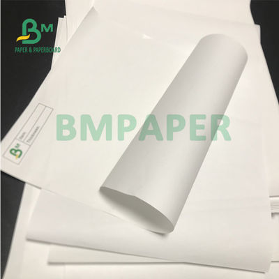 papel térmico da caixa registadora impermeável de 65gsm 72gsm para o registro do supermercado