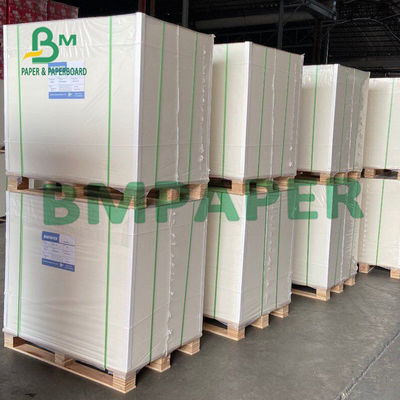 folha de 300gsm 450µM Blister Board Paper para o empacotamento da bolha do hardware