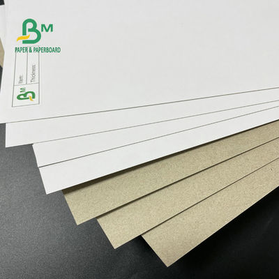 Placa frente e verso revestida Grey Back 350GSM 400GSM 450GSM de 42 polegadas para caixas de empacotamento