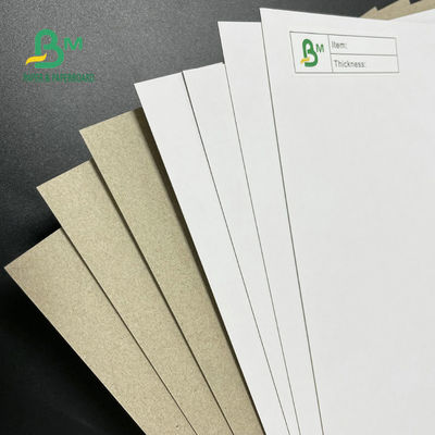 Placa frente e verso revestida Grey Back 350GSM 400GSM 450GSM de 42 polegadas para caixas de empacotamento
