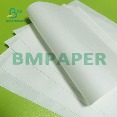 O rolo de papel do congelador do acondicionamento de alimentos, o lado branco do papel de embalagem um revestiu o PE 40g + 15g não tóxico