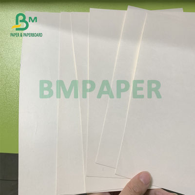 resistência de dobramento da placa de papel do estoque do copo de 135gsm + de 15gsm Polycoated