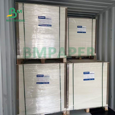 resistência de dobramento da placa de papel do estoque do copo de 135gsm + de 15gsm Polycoated