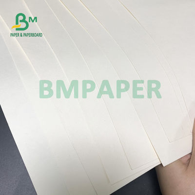 placa de papel do estoque do copo 230gsm + 18gsm segura nenhuma especialidade do cheiro para bacias do macarronete