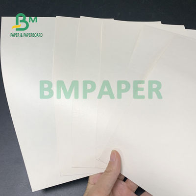 placa de papel do estoque do copo 230gsm + 18gsm segura nenhuma especialidade do cheiro para bacias do macarronete